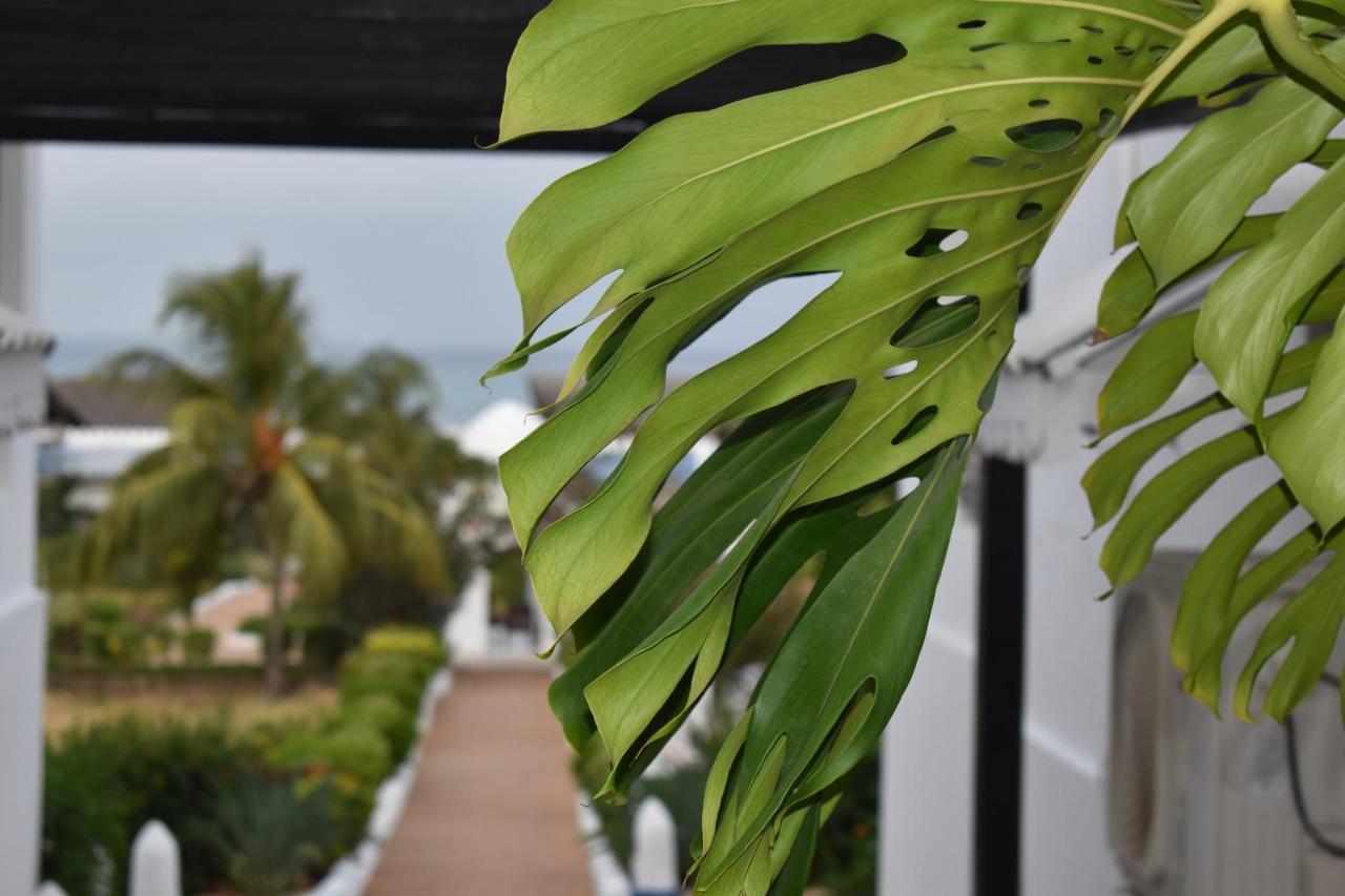 Kendwa Beach Resort Екстериор снимка
