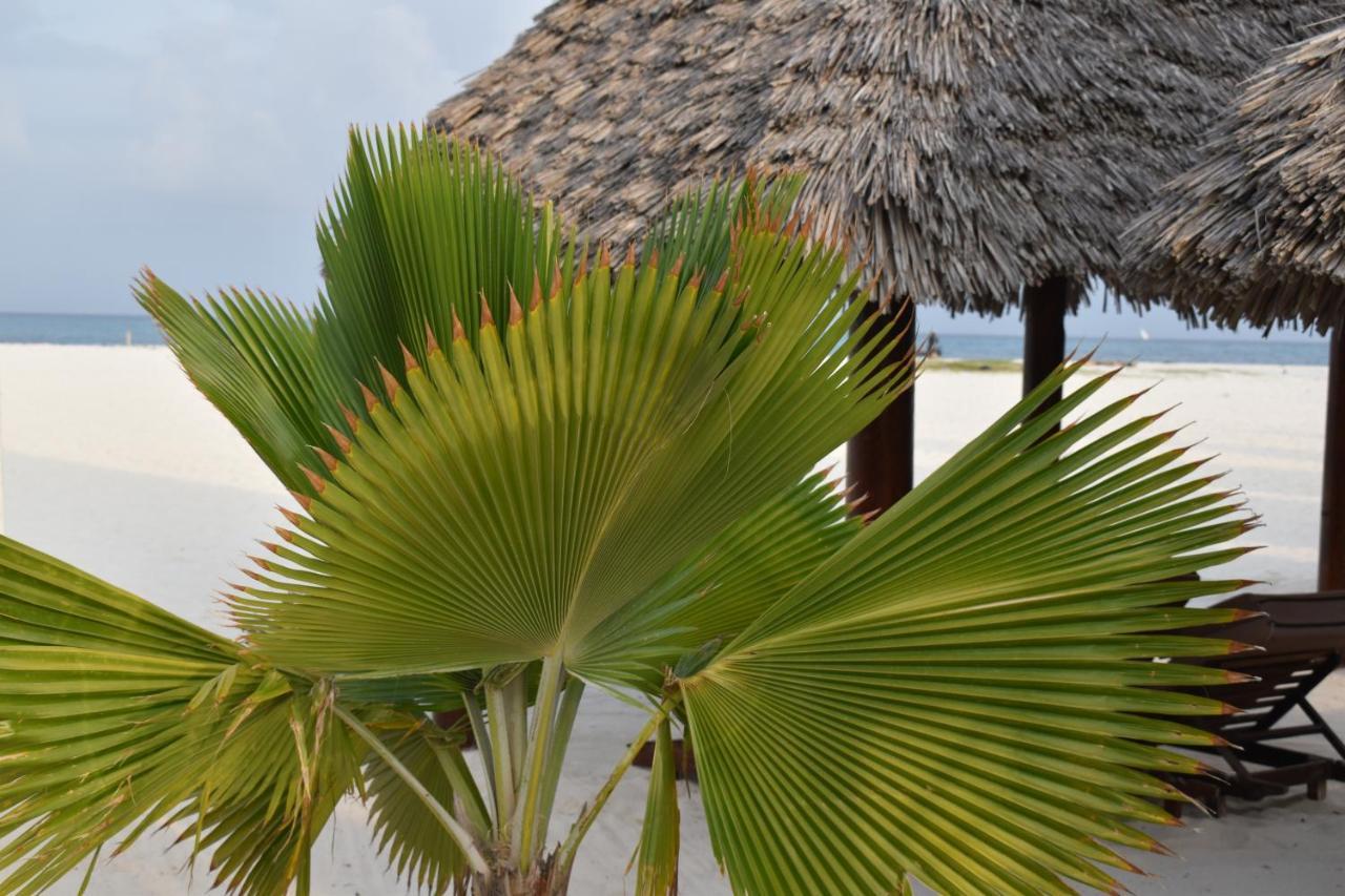 Kendwa Beach Resort Екстериор снимка