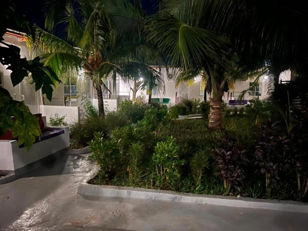 Kendwa Beach Resort Екстериор снимка